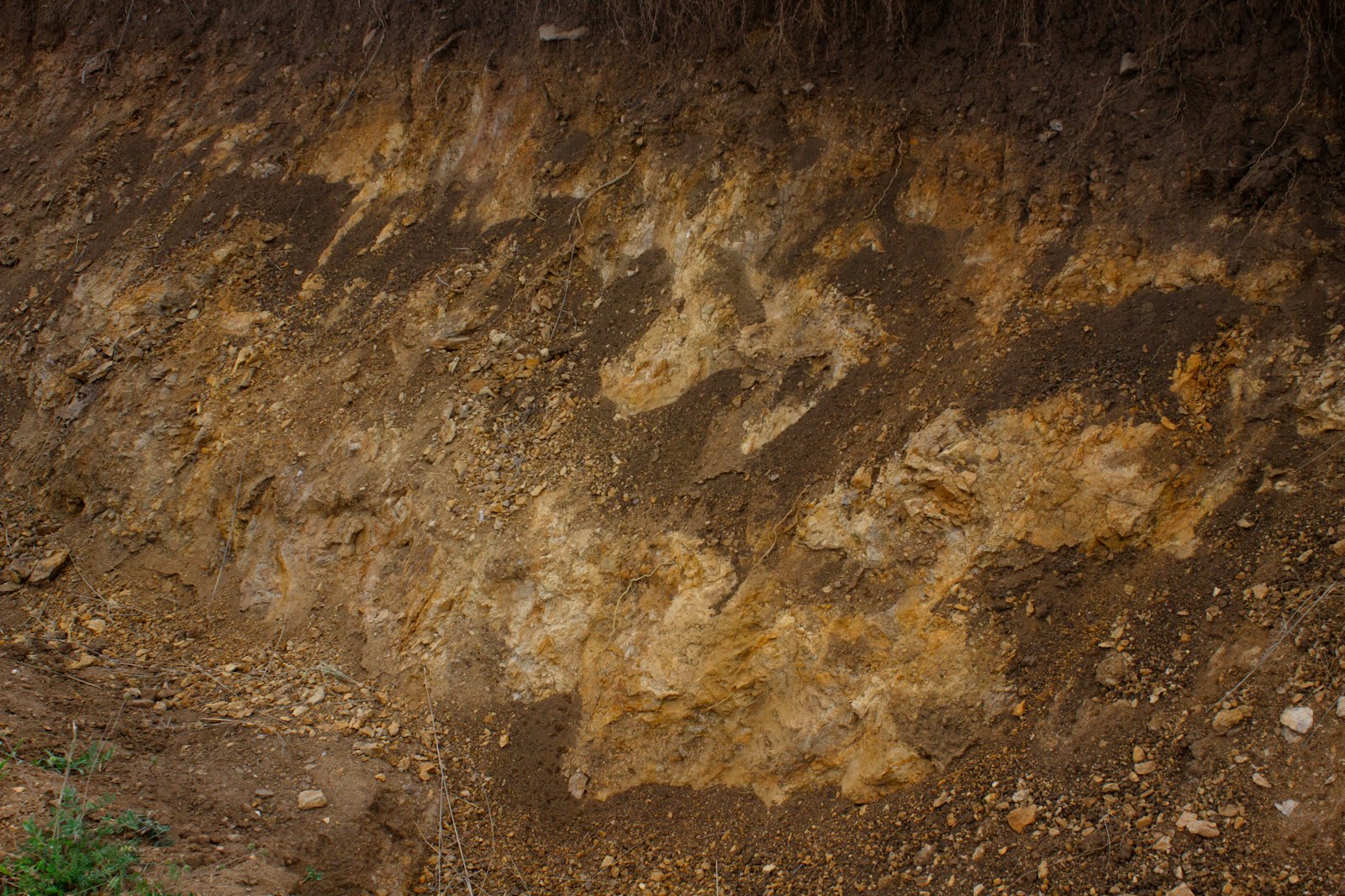 Exposed layers of soil in a cut bank